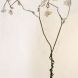 Forged mild steel tree with stainless steel woven wirecloth leaves Forged mild steel tree with stainless steel woven wirecloth leaves